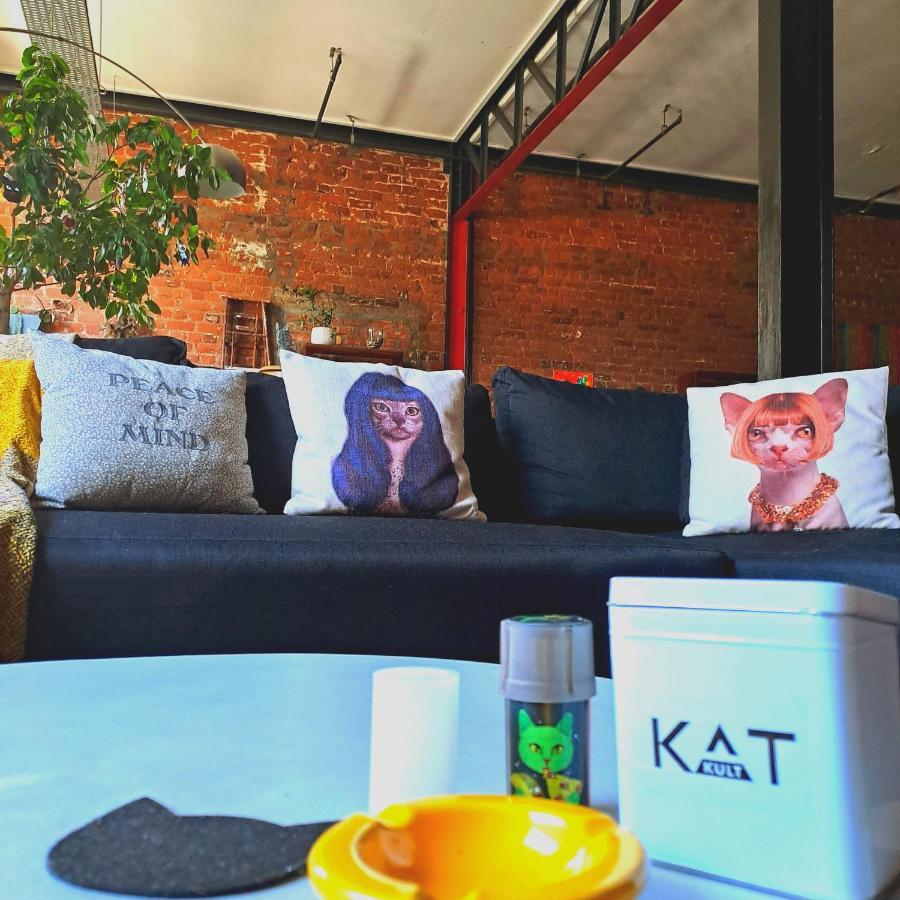 Pet-Friendly City Loft Apartment Kapsztad Zewnętrze zdjęcie